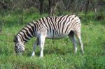 safrica03_image22.jpg